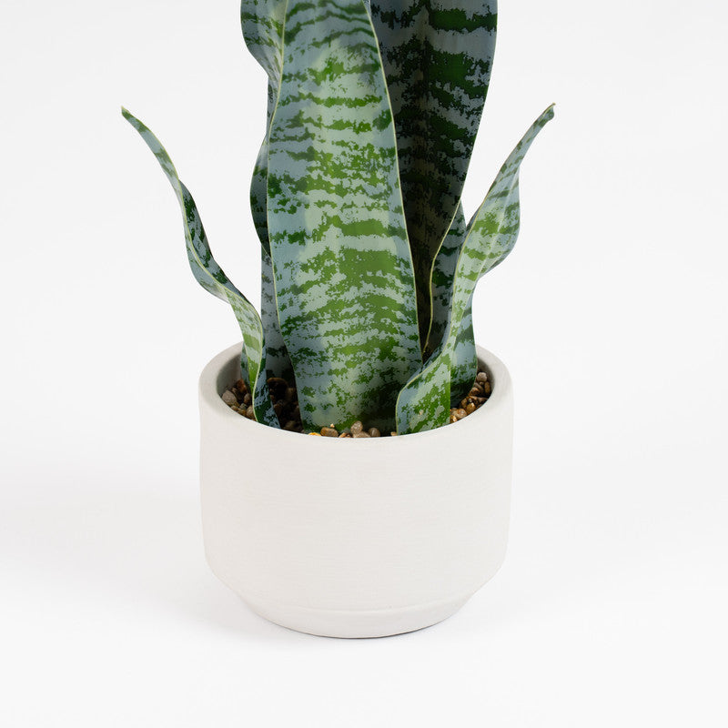48cm Artificial Sansevieria in Cement pot